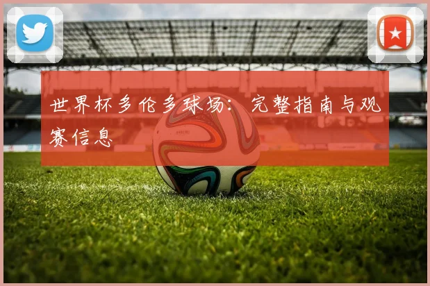 世界杯多伦多球场：完整指南与观赛信息